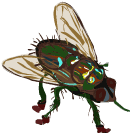 Bees